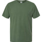 Comfort Wash by Hanes Short Sleeve Tshirt